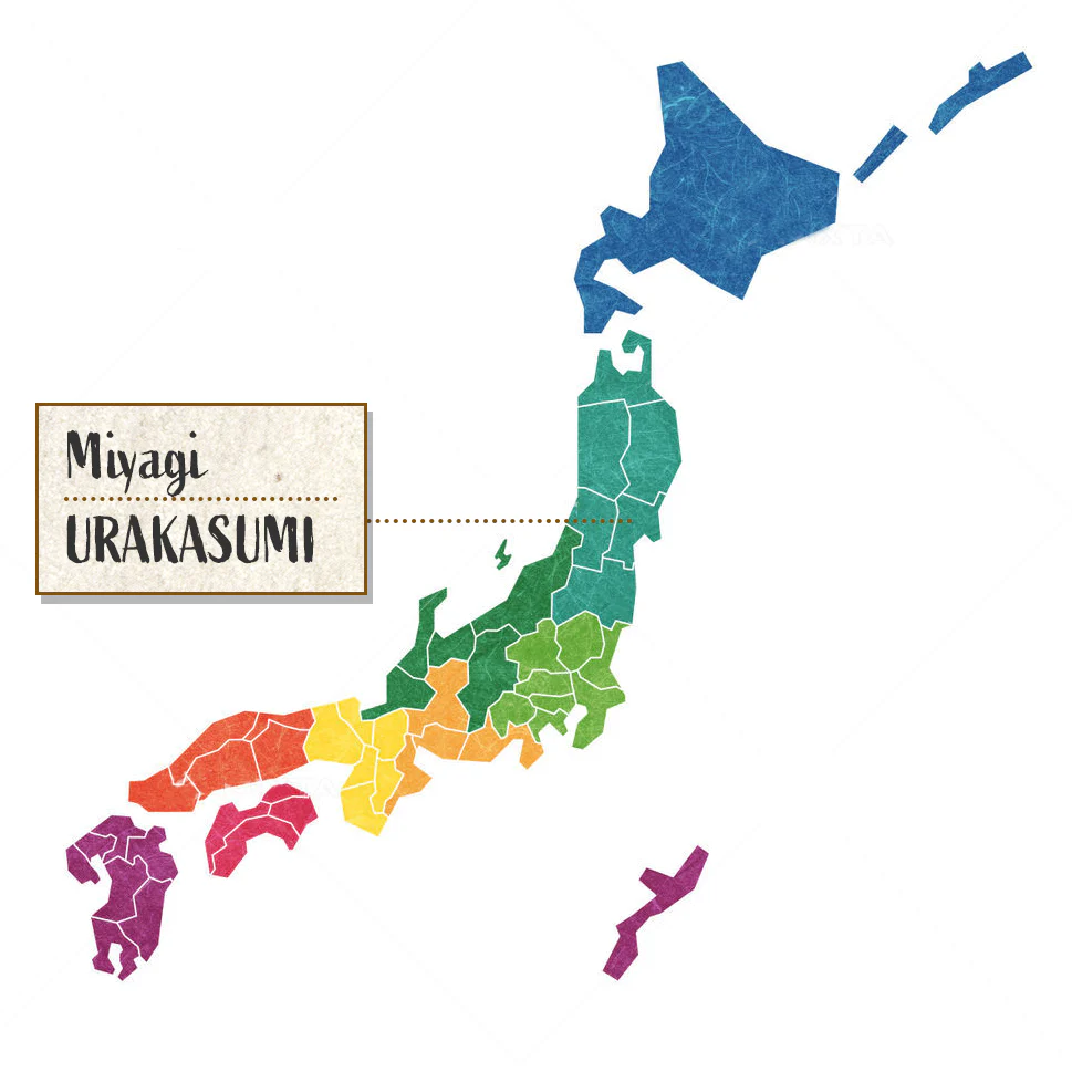 [SYD]URAKASUMI No.12 720ml - Image 3